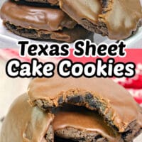 These Texas Sheet Cake Cookies are a cross between a Texas sheet cake and double chocolate cookies. This recipe is not only delicious, but incredibly easy.